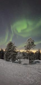 a group of trees in a snowy field with a green sky at Cozy Arctic Heart in Rovaniemi