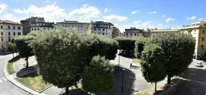 un grupo de árboles en medio de una calle en Ecc3ntrico, en Arezzo