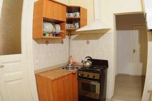 een kleine keuken met een wastafel en een fornuis bij Anna Apartments in Lviv