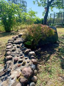 Taman di luar Dom z widokiem na Wisłę, ogrodem i parkingiem AC Progres
