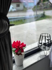 a vase with red flowers sitting on a window sill at La Ilie la spălătorie in Broşteni +11 photos