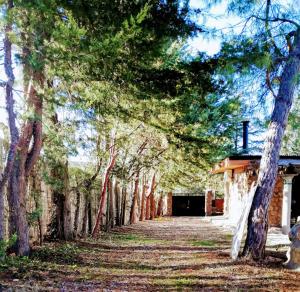 una fila di alberi di fronte a un edificio di La Cabaña de Piedra a Ruidera