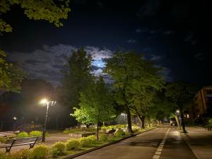a street at night with trees and a street light at ApartmentsByMatyrafa-IX in Tarnowskie Góry