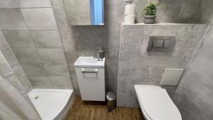 a bathroom with a white toilet and a sink at ApartmentsByMatyrafa-IX in Tarnowskie Góry