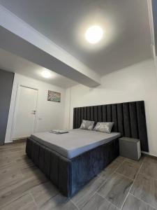 a bedroom with a large bed in a room at Temple of the Sights in Buşteni