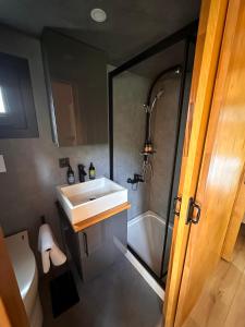 a bathroom with a sink and a shower and a toilet at ARIETES MARMONT Resort TINY Houses in Tatranska Strba +21 photos