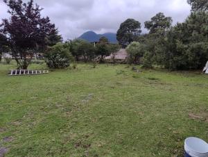 San Miguel AjuscoにあるTlali Nantli Ecoturismoの木山草原