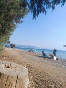 Φυσικό τοπίο κοντά σε αυτή η παραθεριστική κατοικία