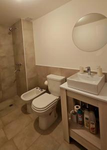 a bathroom with a toilet and a sink and a mirror at Vi Hosting Anzoategui Aparts in Salta +7 photos