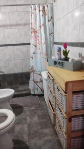 a bathroom with a toilet and a shower curtain at Apart Los Naranjos in Chajarí +25 photos