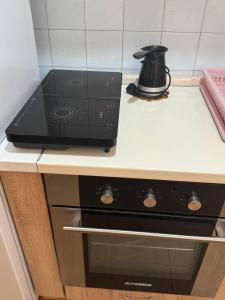 Kuchyň nebo kuchyňský kout v ubytování Igalo Apartman Despich