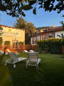 A garden outside Lemon Factor Sorrento