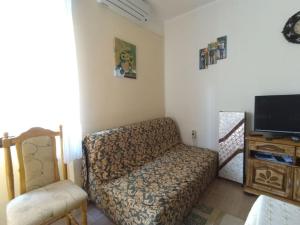 TV a/nebo společenská místnost v ubytování Igalo Apartman Despich