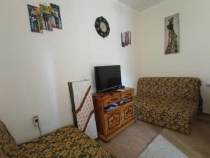 TV a/nebo společenská místnost v ubytování Igalo Apartman Despich