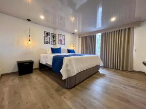 ボゴタにあるHotel Embajada 44の青い枕が付いた大きなベッドのある寝室 +148枚の写真