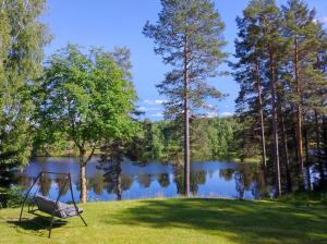 StälldalenForest, fishing & relax的湖边草坪上的秋千