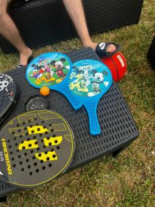 a childs play table with a playset on the grass at Guesthouse Ale&Ale in Tale +21 photos
