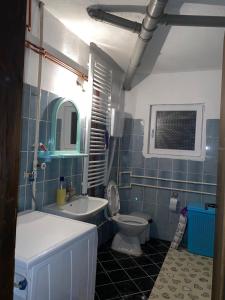 Koupelna v ubytování Guesthouse Tomasevic