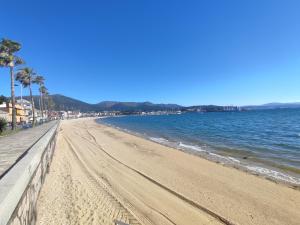 a sandy beach with palm trees and the ocean at Apartamento O Cruceiro in A Pobra do Caramiñal