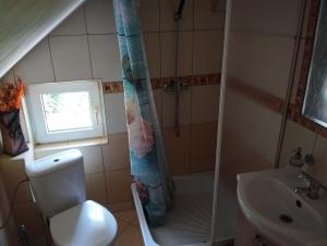 a bathroom with a shower and a toilet and a sink at Green Hous agroturystyka in Pelnik +15 photos