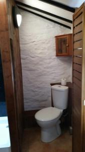 a bathroom with a white toilet in a room at Fisherman's Cottage in Aberystwyth
