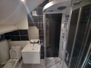 a bathroom with a shower and a sink and a toilet at Les Jardins Secrets in Romilly-sur-Seine