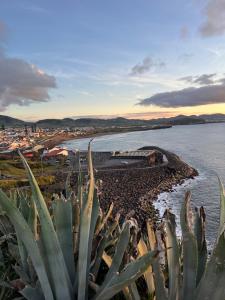 Blick auf einen Strand mit Kaktus in der Unterkunft Casa da Estrela in Ribeira Grande