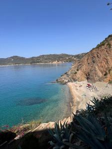 a beach with people laying on the sand and the water at Ste.Mar Apartments in Teulada
