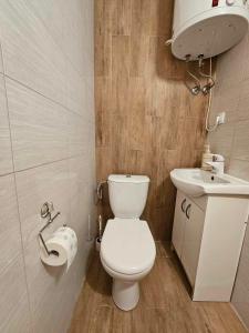 une petite salle de bain avec toilettes et lavabo dans l'établissement Domek letniskowy na Mazurach, à Mrągowo