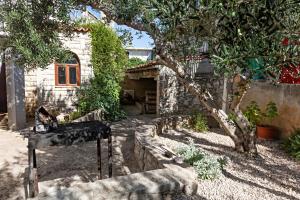 a house with a tree and a piano in the yard at Apartments with a parking space Pirovac, Sibenik - 13201 in Pirovac