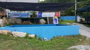 a blue pool with a toy in the grass at Andong Looksglampingandpam in Andong