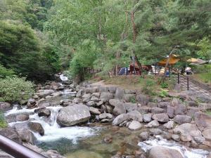 Naturlandskabet i nærheden af pensionatet