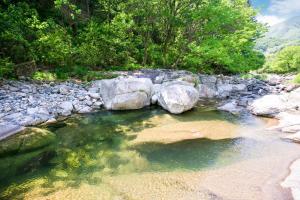 a stream of water with rocks and trees at Gapyeong Cheotnooneh Pension in Gapyeong