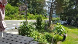 En have udenfor Ganghwa James Pension