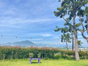 a purple bench sitting in a field with a tree at Wando Haegeum Pension in Taegong-ni