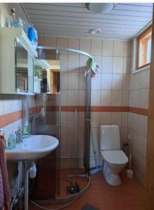 a bathroom with a shower and a toilet and a sink at tunnelmallinen vapaaajanpaikka in Toiviaiskylä