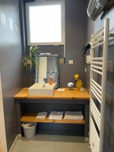 a bathroom with a sink and a mirror at Au Bois Dormant in Huby-Saint-Leu +47 photos
