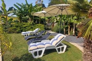 a row of lounge chairs and an umbrella at Chalet cosy avec piscine en campagne in Condom