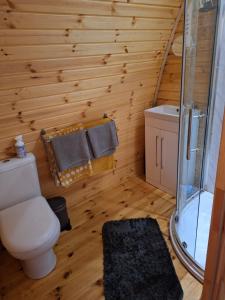 Bany a Log cabin