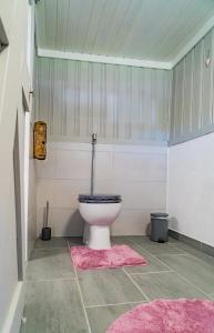 Ένα μπάνιο στο Ferienhaus Shiva +14 φωτογραφίες