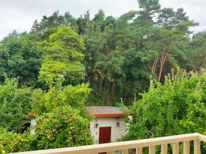 a small white house in the middle of trees at Kopa Cabana in Palanga