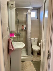 ein kleines Badezimmer mit Toilette und Waschbecken in der Unterkunft Sutomore Panorama Apartment in Sutomore