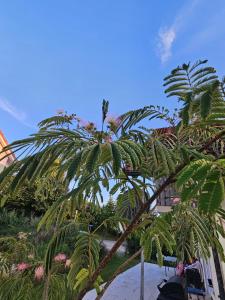 a palm tree sitting on top of a sandy beach at Ferienwohnung Auszeit in Solnhofen