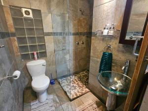 a bathroom with a toilet and a shower and a sink at 62 on Tuzi Gazi in Richards Bay +20 photos