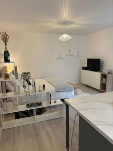 TV a/nebo společenská místnost v ubytování Le cocon Scandinavo-Champenois