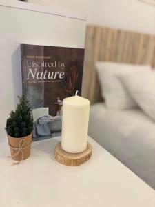 Fotografie z fotogalerie ubytování Le cocon Scandinavo-Champenois v Remeši