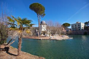 アルアマ・デ・アラゴンにあるHotel Termas Balneario Termas Pallaresの水の横のヤシの木