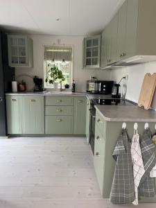 a kitchen with green cabinets and a counter top at Brittas Country House in Munka-Ljungby