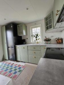 a kitchen with green cabinets and a black refrigerator at Brittas Country House in Munka-Ljungby