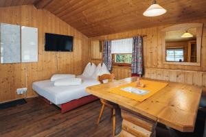 Televízia a/alebo spoločenská miestnosť v ubytovaní Camping Dreiländereck Blockhütten & Apartments